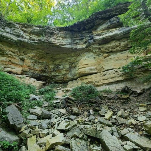 A rocky cliff surrounded by lush greenery, with scattered stones at the base and sunlight filtering through the trees.