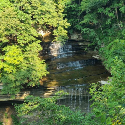 A serene waterfall cascading over rocky ledges, surrounded by lush green trees and foliage.
