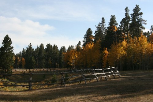 A wooden fence lines a field surrounded by trees with vibrant autumn foliage under a clear blue sky.