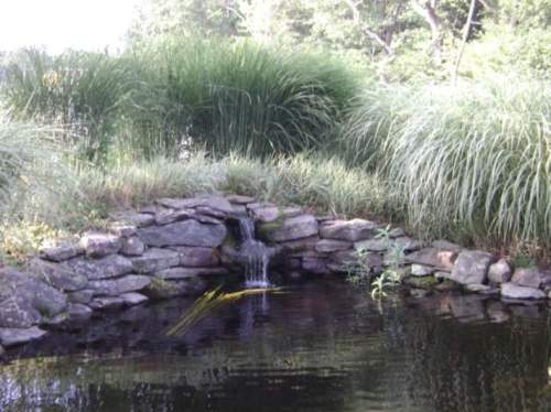 A serene pond surrounded by lush green grass and a small stone waterfall.