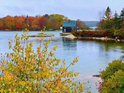 A serene lakeside scene with a quaint house, surrounded by colorful autumn foliage and calm waters.