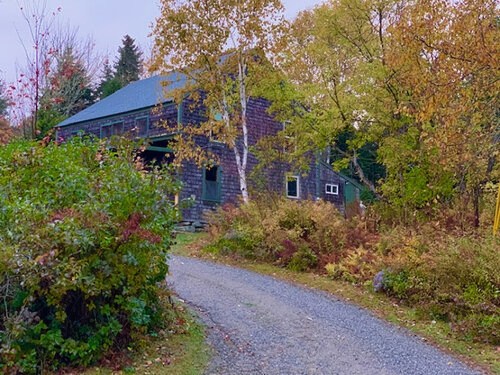 A rustic house surrounded by colorful autumn foliage and a gravel driveway leading up to it.