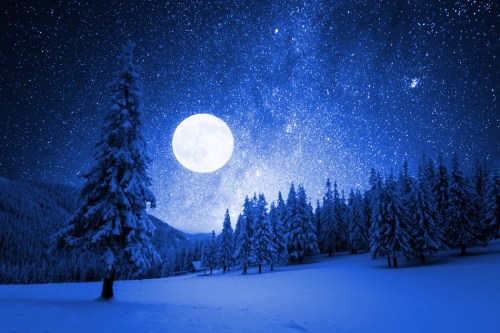 A serene winter landscape with snow-covered trees under a bright full moon and a starry blue night sky.