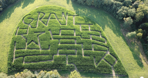 Aerial view of a corn maze shaped like the word "GRANT" with various paths and designs in a green field.