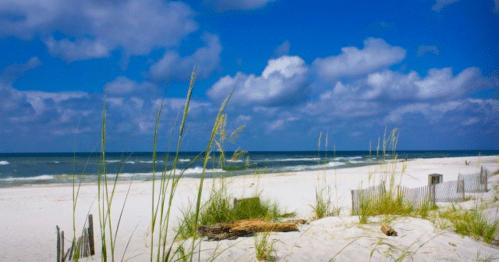 A serene beach scene with white sand, gentle waves, and tall grass under a blue sky with fluffy clouds.