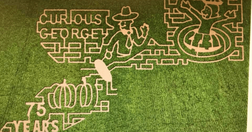 A green maze design featuring Curious George and a character in a hula skirt, celebrating 75 years.
