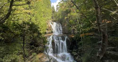 A serene waterfall cascades down rocky cliffs, surrounded by lush green trees and a clear blue sky.