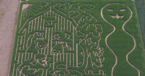 Aerial view of a corn maze featuring a barn, trees, and a smiling figure, all carved into lush green cornfields.
