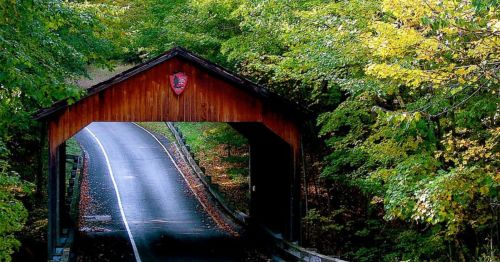 A scenic view of a covered bridge surrounded by vibrant green trees and a winding road.