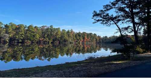 A serene lake surrounded by trees, reflecting the clear blue sky and autumn colors on the water's surface.