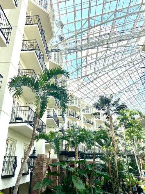 A glass-roofed atrium with palm trees and balconies in a hotel setting, showcasing a bright, tropical atmosphere.