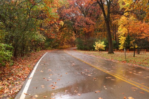 A winding road through a vibrant autumn forest, with colorful leaves and a wet pavement reflecting the scenery.