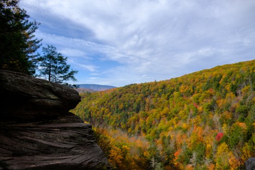 A scenic view of a colorful autumn forest with rolling hills under a partly cloudy sky.