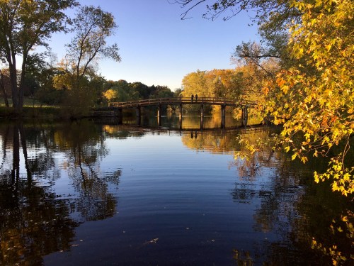 A serene river scene with a wooden bridge, surrounded by autumn trees reflecting in the calm water.
