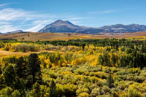 A scenic landscape featuring rolling hills, vibrant autumn foliage, and a distant mountain under a clear blue sky.