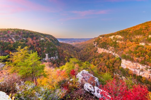 A vibrant autumn landscape with colorful trees and a valley surrounded by hills under a pastel sky at sunset.