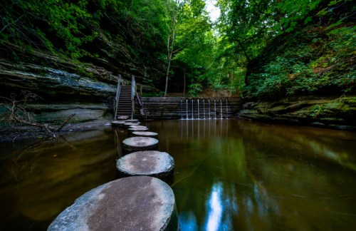 A serene forest scene featuring stepping stones leading to a calm pool with a small waterfall and lush greenery.