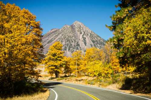 A winding road surrounded by vibrant autumn trees leads to a mountain under a clear blue sky.