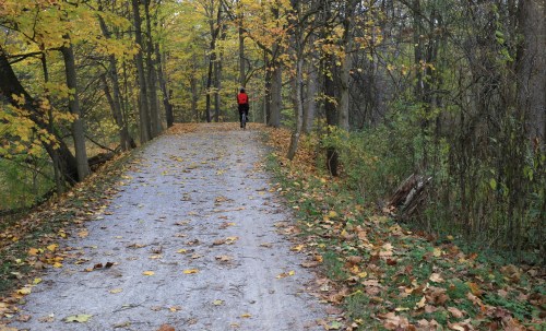 A person in a red jacket walks along a gravel path surrounded by trees with autumn leaves.
