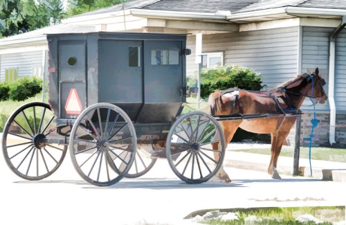 A horse-drawn buggy parked on a street near a house, with greenery in the background.