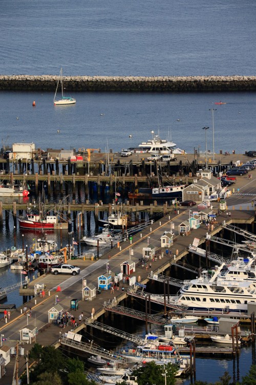 A busy marina with various boats docked, surrounded by a pier and calm water under a clear sky.