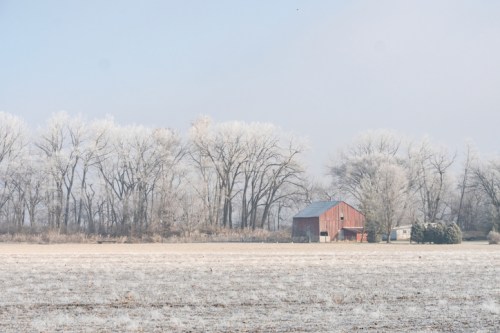A red barn surrounded by frosty trees and a snowy field on a misty winter morning.