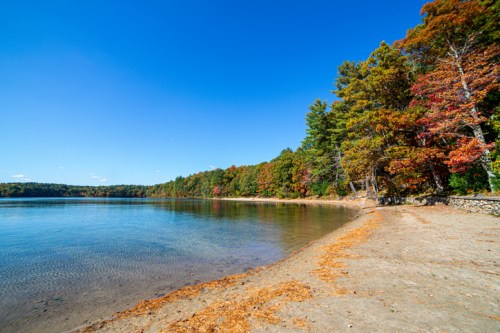 A serene lakeside scene with colorful autumn trees and a clear blue sky, reflecting on calm water.