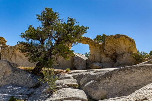 A rugged landscape featuring large boulders and a lone tree under a clear blue sky.