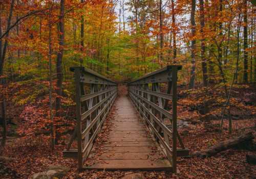 A wooden bridge stretches through a colorful autumn forest, surrounded by vibrant orange and green foliage.