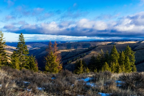A scenic view of rolling hills and valleys, with evergreen trees and a blue sky dotted with clouds.