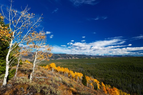 A scenic view of a valley with vibrant autumn trees under a blue sky with fluffy clouds. Mountains in the distance.