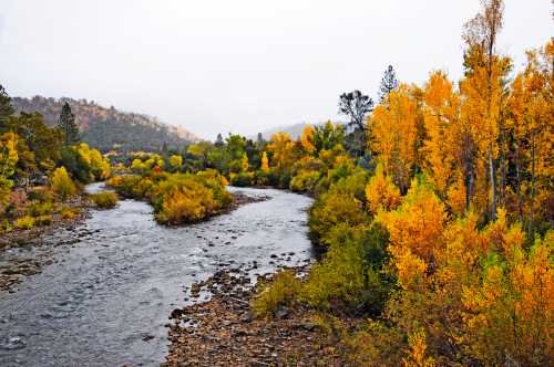 A winding river surrounded by vibrant autumn trees in shades of yellow and orange under a cloudy sky.