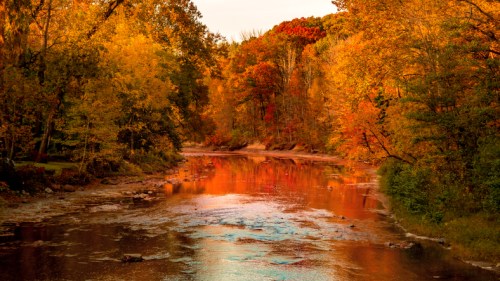 A serene river surrounded by vibrant autumn foliage reflecting warm colors in the water.