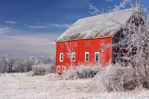 A red barn surrounded by frosted trees and a snowy landscape under a clear blue sky.