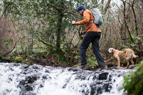 A person in an orange jacket hikes along a stream with a dog beside them in a lush, wooded area.