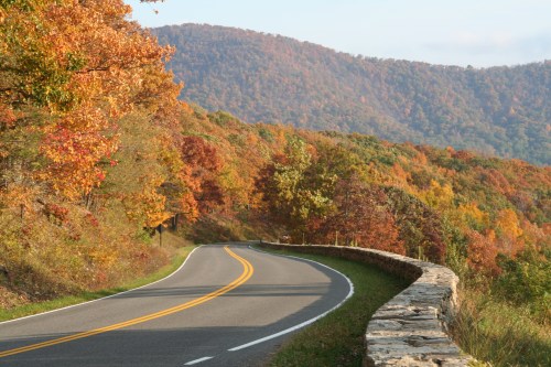 A winding road through vibrant autumn foliage with mountains in the background.