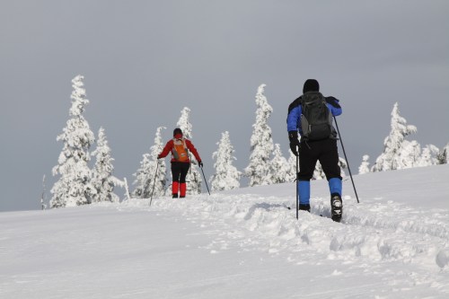 Two people hiking through a snowy landscape, surrounded by snow-covered trees under a cloudy sky.