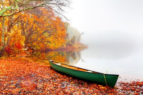 A green canoe rests on a shore covered in autumn leaves, surrounded by foggy water and colorful fall trees.