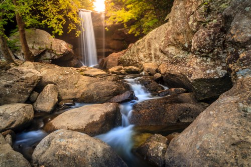 A serene waterfall cascades over rocks, surrounded by lush greenery and a tranquil stream.