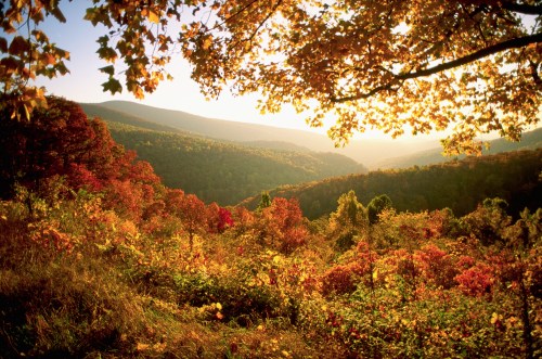 A vibrant autumn landscape with colorful foliage, rolling hills, and a warm golden light illuminating the scene.