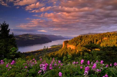 A scenic view of a river valley surrounded by mountains, with vibrant flowers in the foreground and dramatic clouds above.