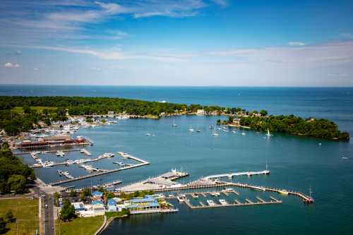 Aerial view of a marina with boats, surrounded by green land and blue water under a clear sky.