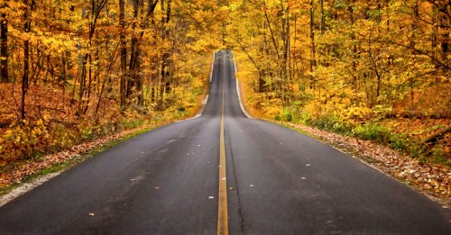 A winding road through a vibrant autumn forest, lined with trees in shades of orange and yellow.