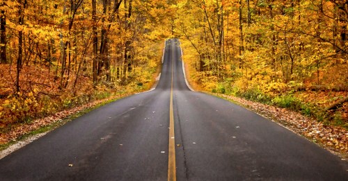 A winding road through a forest with vibrant autumn foliage in shades of orange and yellow.