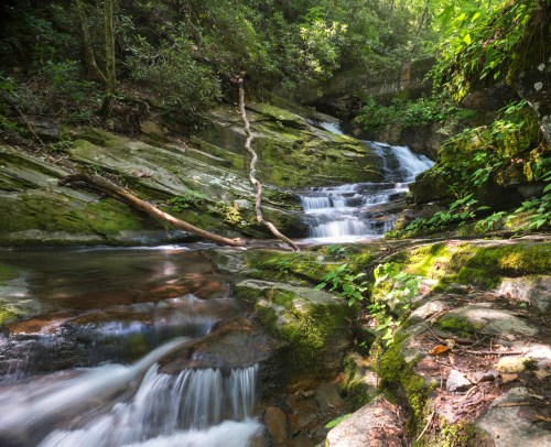 A serene forest scene featuring a cascading waterfall over moss-covered rocks, surrounded by lush greenery.