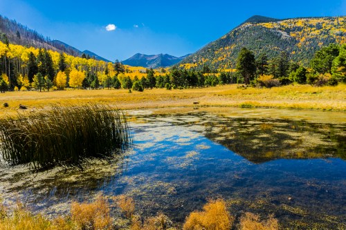 A serene landscape featuring a pond surrounded by autumn foliage and mountains under a clear blue sky.