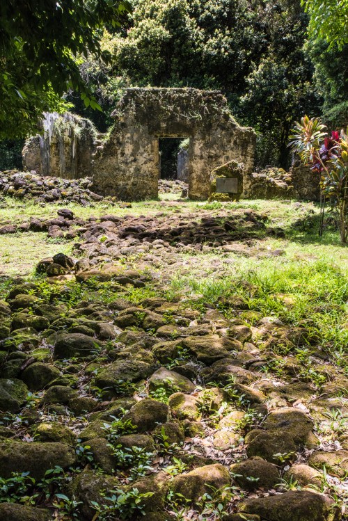 Ruins of an old stone structure surrounded by lush greenery and a rocky path leading through the overgrown landscape.