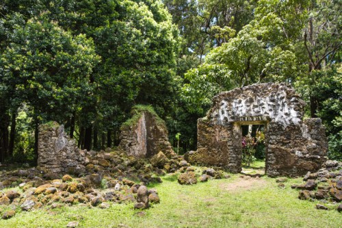 Ruins of an ancient structure surrounded by lush greenery and trees, with moss-covered stones on the ground.