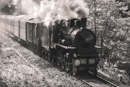 A vintage steam locomotive billows smoke as it travels along a railway, surrounded by trees.