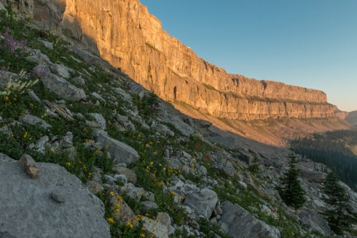 A rocky cliff bathed in golden sunlight, surrounded by vibrant wildflowers and a forested valley below.